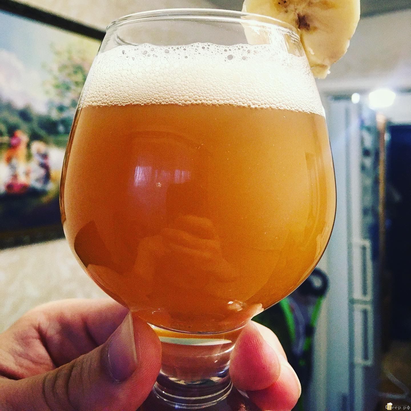 Banana - Vanilla Milkshake IPA (Специальный ИПЭ (IPA)) | Рецепт пива от  Craft_Brewery_Garage